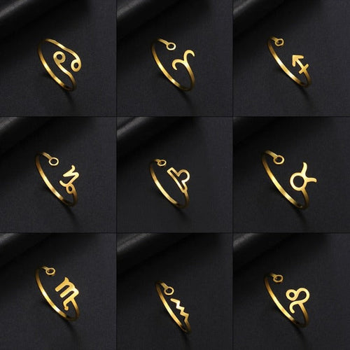 Zodiac Sign Ring 12 Constellations Signet Ring Astrology