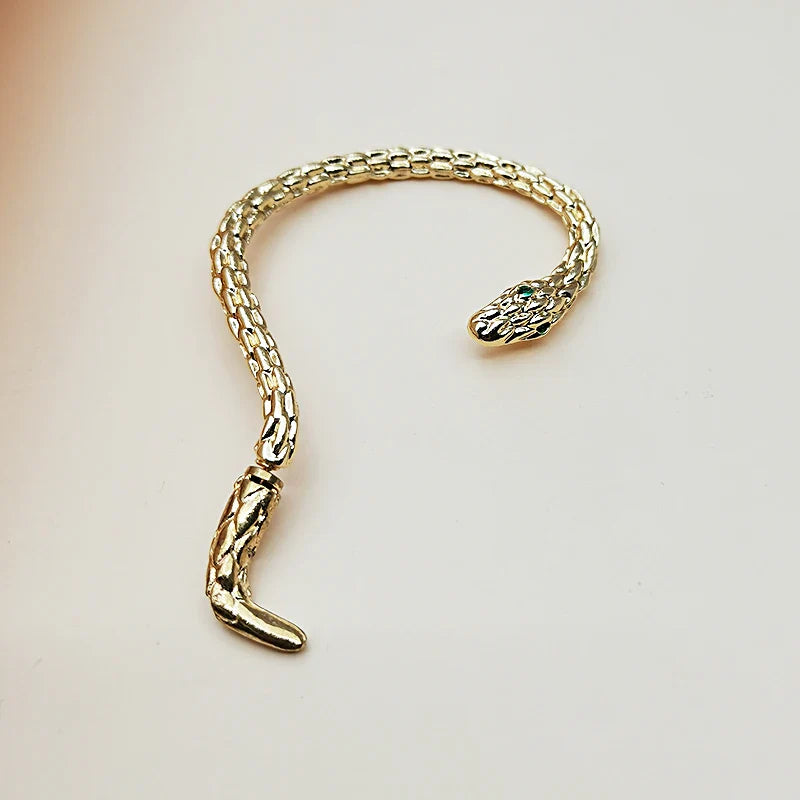 Long Snake Dangle Earrings pr