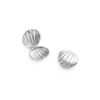 Scallop Shell Earrings Silver