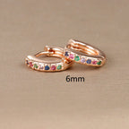 Women's rainbow earrings