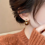 Tiger Eye Protection Dangle Earrings