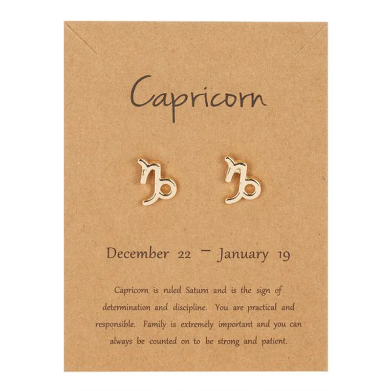 Zodiac Sign Earrings 12 Constellations Capricorn