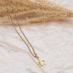 Men's & Women's Fleur-de-Lis Necklace & Pendant Gold
