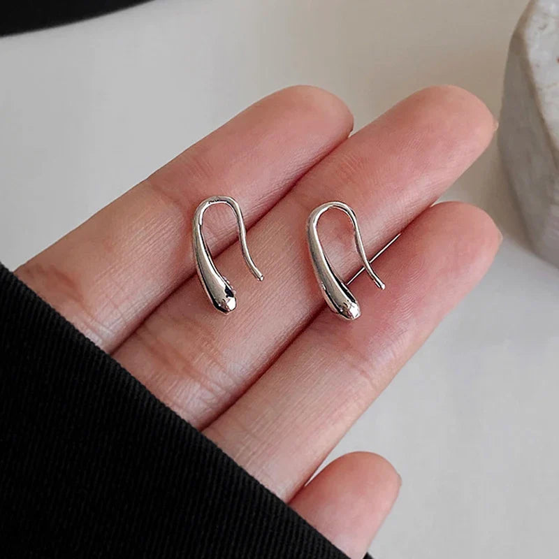 Fine Water Drop Dangle Earrings Silver